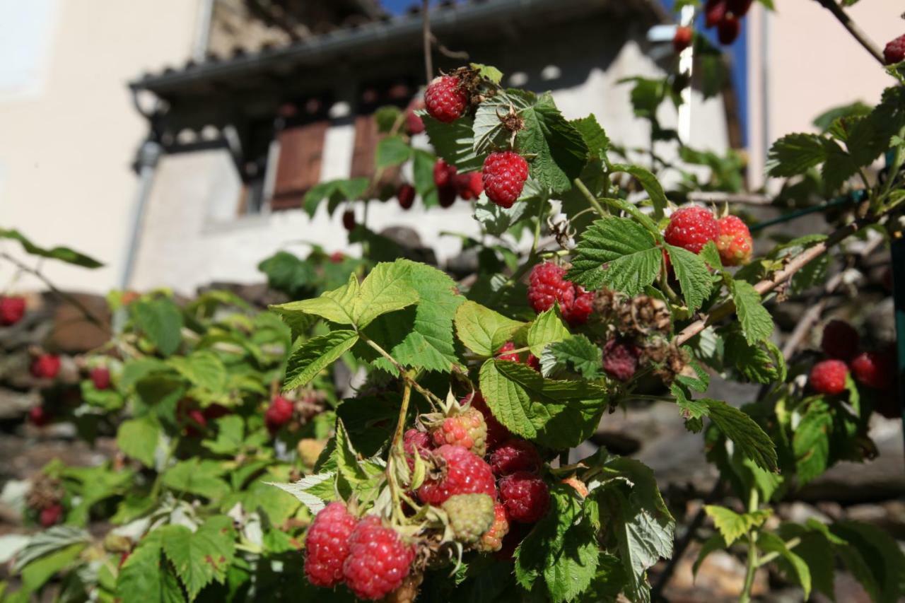 Villa La Caladette à Les Plantiers Extérieur photo
